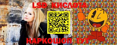 ГАЛЛЮЦИНОГЕННЫЕ ГРИБЫ Краснодар